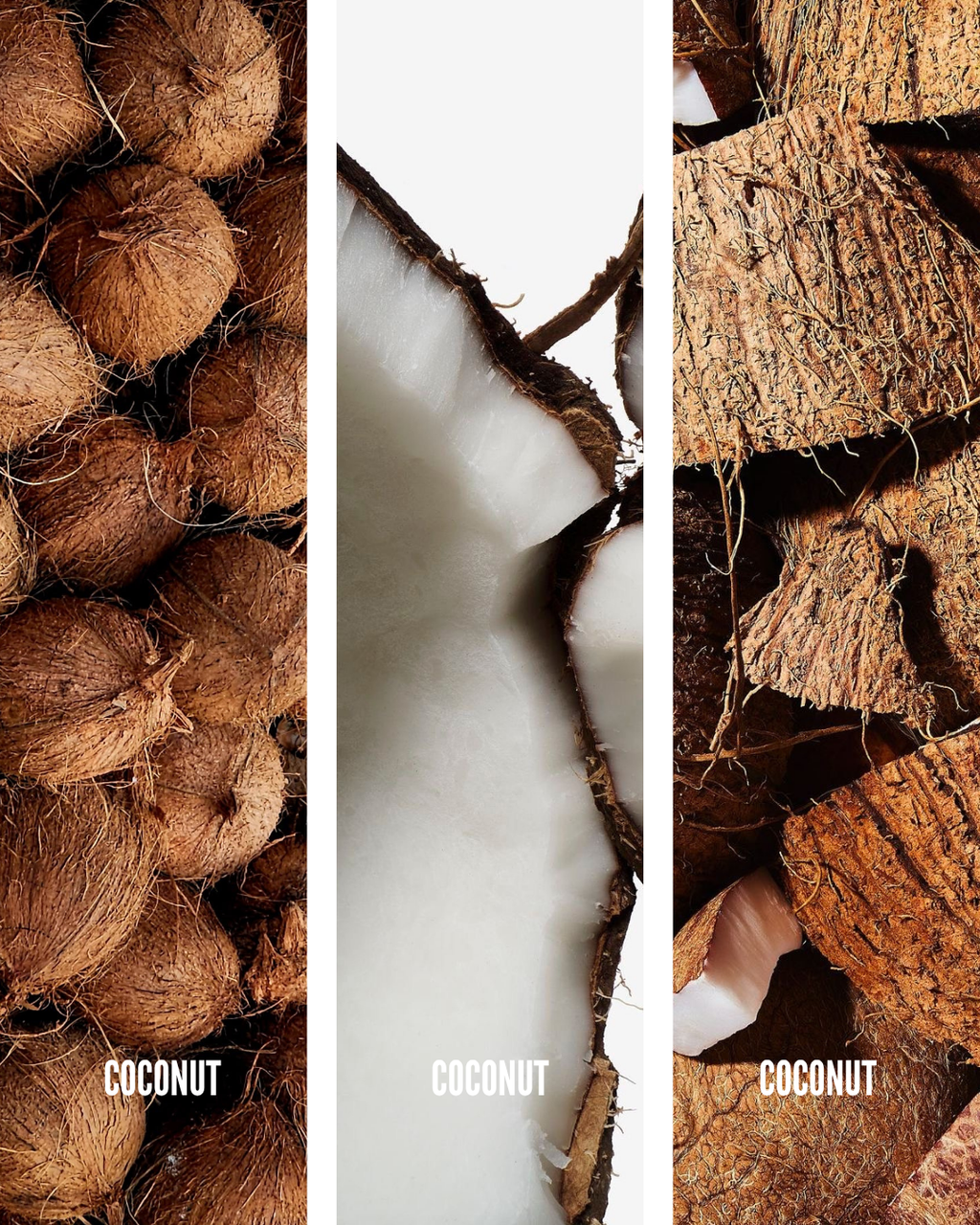 NYFEN FEN GLOSS COCONUT PARADISE