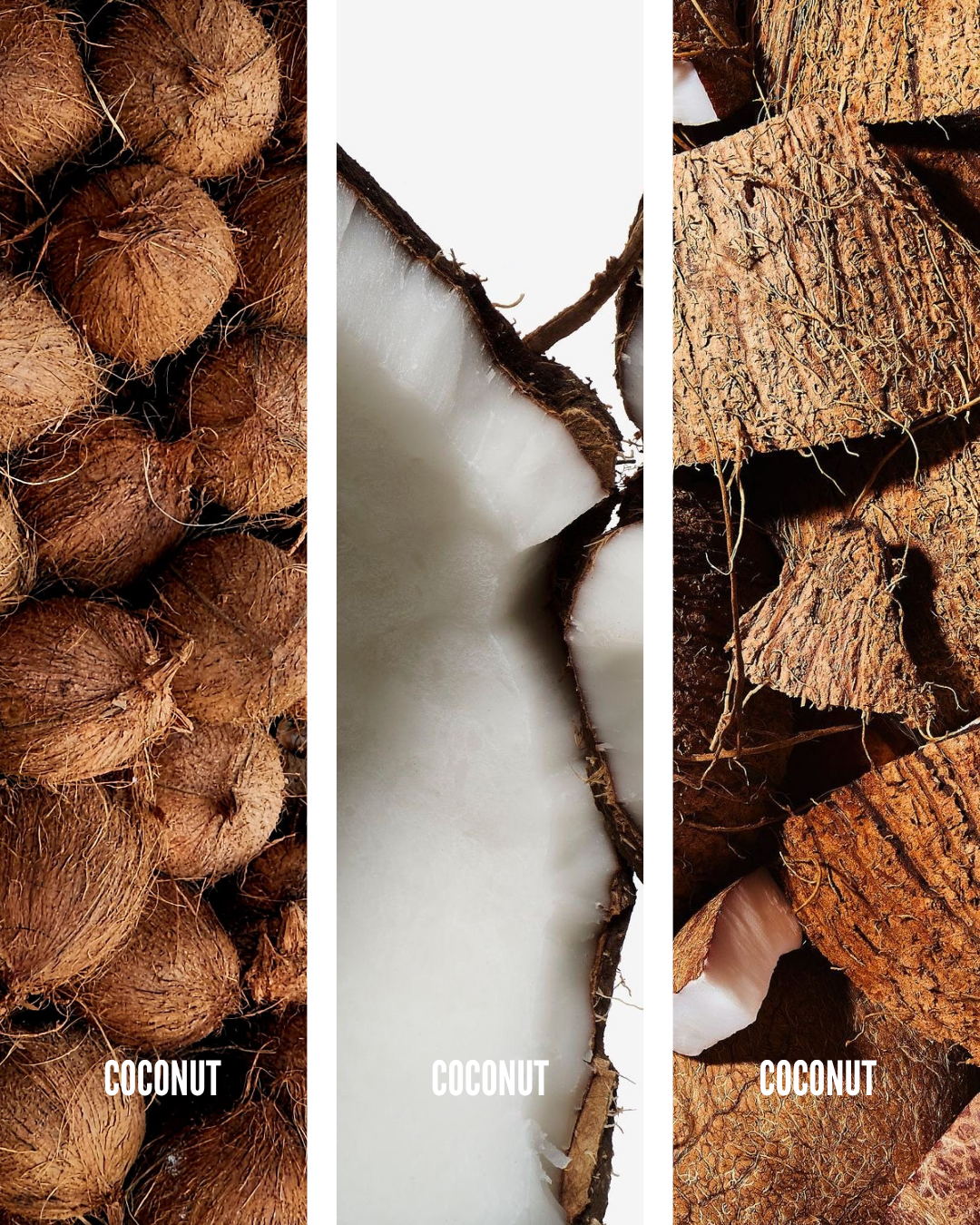 NYFEN FEN GLOSS COCONUT PARADISE
